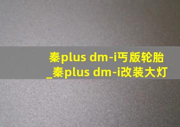 秦plus dm-i丐版轮胎_秦plus dm-i改装大灯